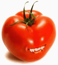 tomate